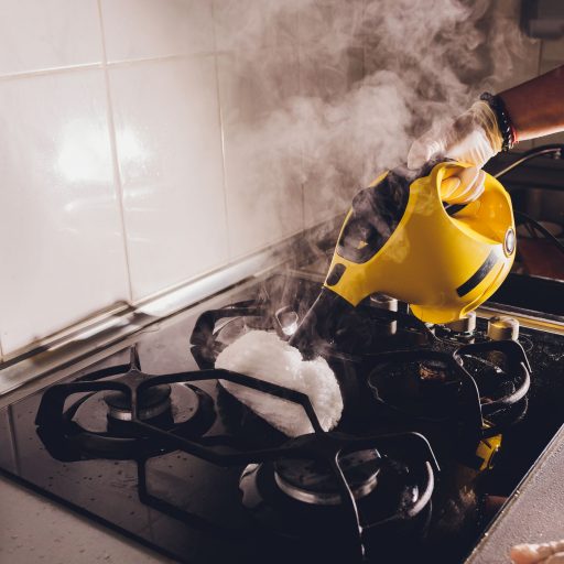 steam cleaning,oven,house cleaning hand close-up